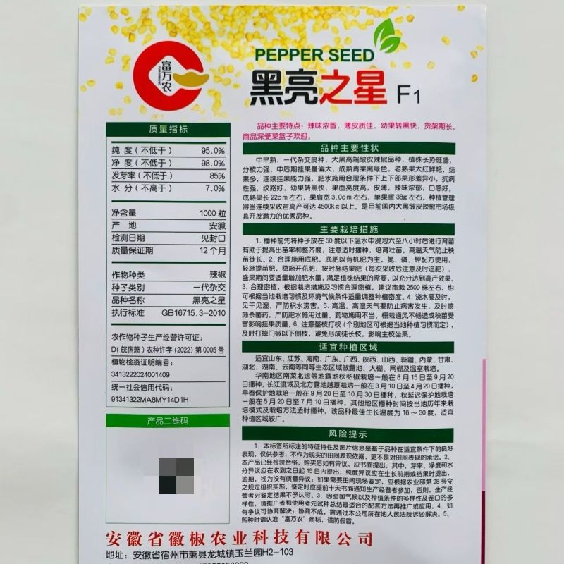 黑亮之星皱皮椒种子现货供应