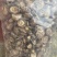 干香菇常年供应，现货量大，支持商超批发电商可做小包装