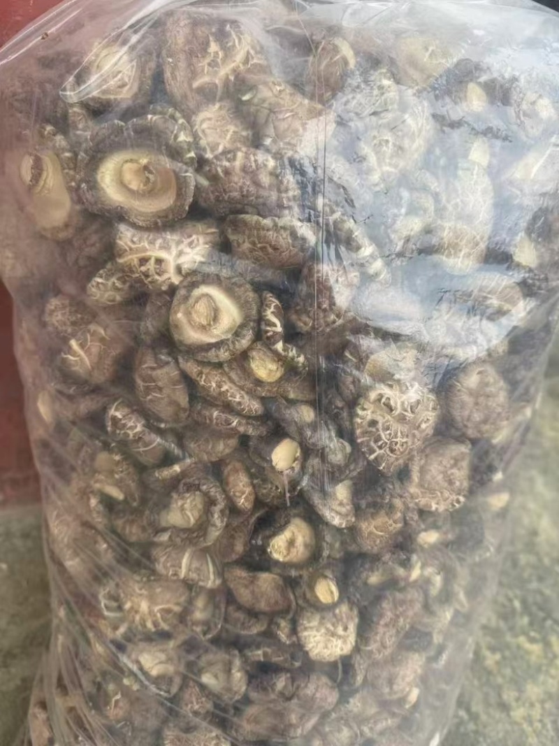 干香菇常年供应，现货量大，支持商超批发电商可做小包装