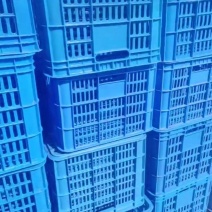 大量周转框，水果筐