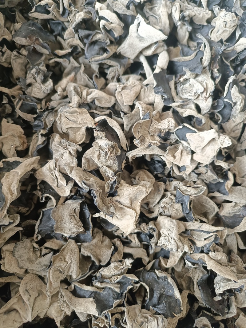 黑木耳，全国发货，价格可谈，质量有保障，欢迎联系