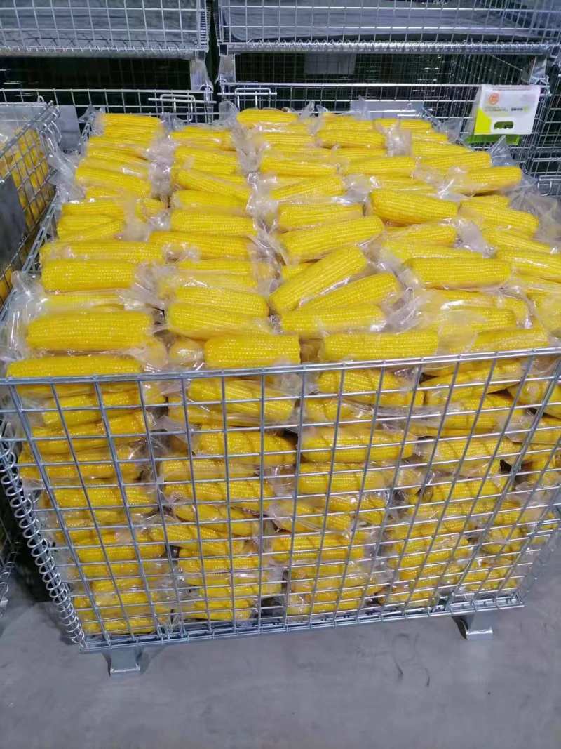 真空独立包装甜糯玉米黄色黑色白色厂家批发可定制代工