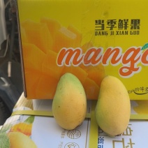 海南三亚小台芒现货现发、品质稳定.不是百家货。现货！