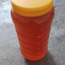 湖北荆门土蜂蜜大量接单产地直发量大从优欢迎