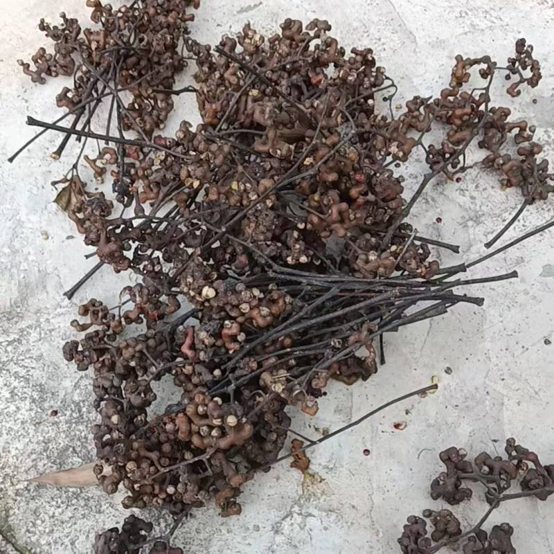 湖北荆门拐枣大量供应一手货源价格美丽欢迎下单