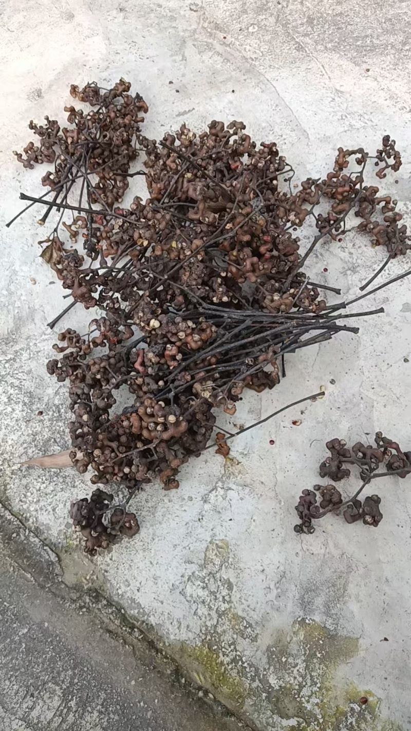 湖北荆门拐枣大量供应一手货源价格美丽欢迎下单