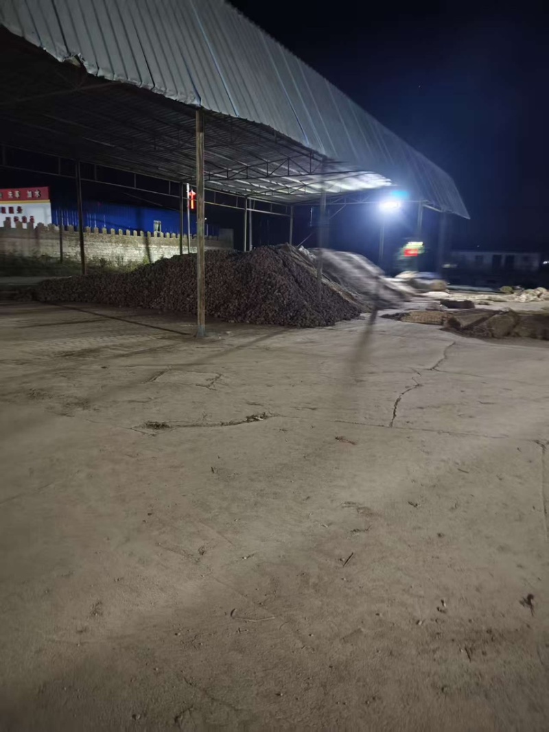 土豆红皮土豆现挖现发产地直供一手货源欢迎咨询