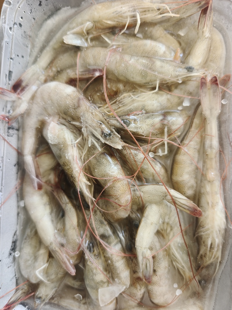 速冻南美白对虾精挑鲜活入库价格便宜常年大量有货
