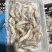 速冻南美白对虾精挑鲜活入库价格便宜常年大量有货