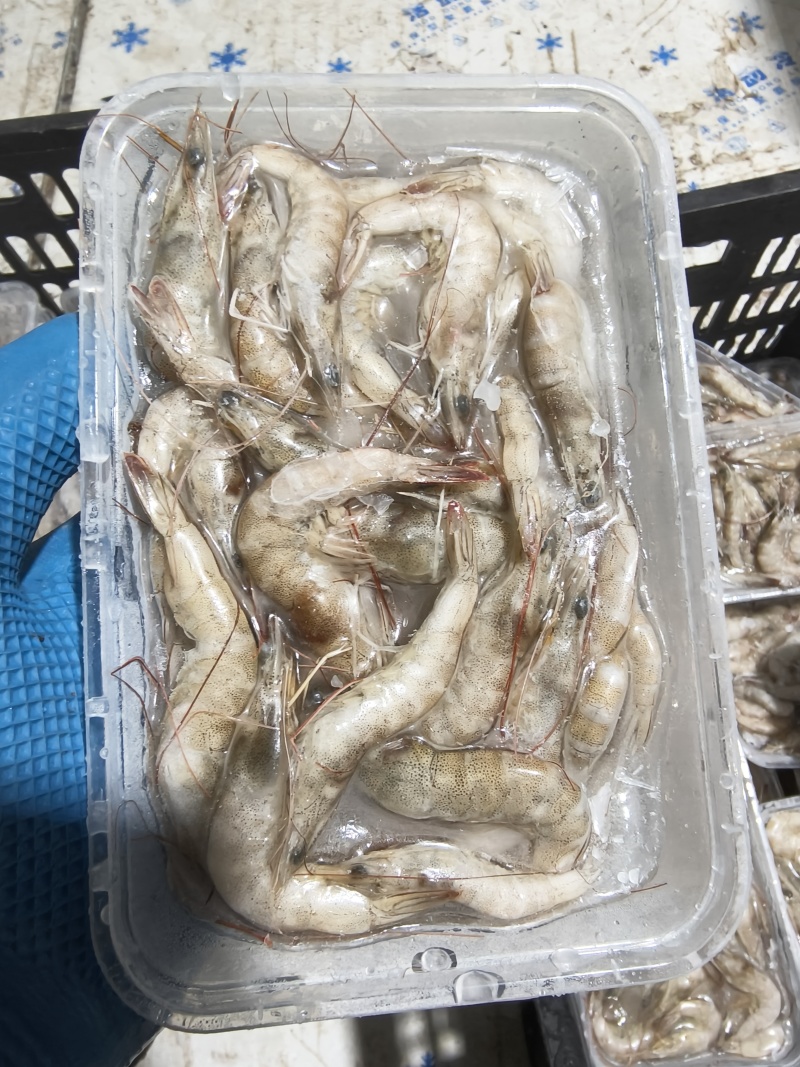 速冻南美白对虾精挑鲜活入库价格便宜常年大量有货