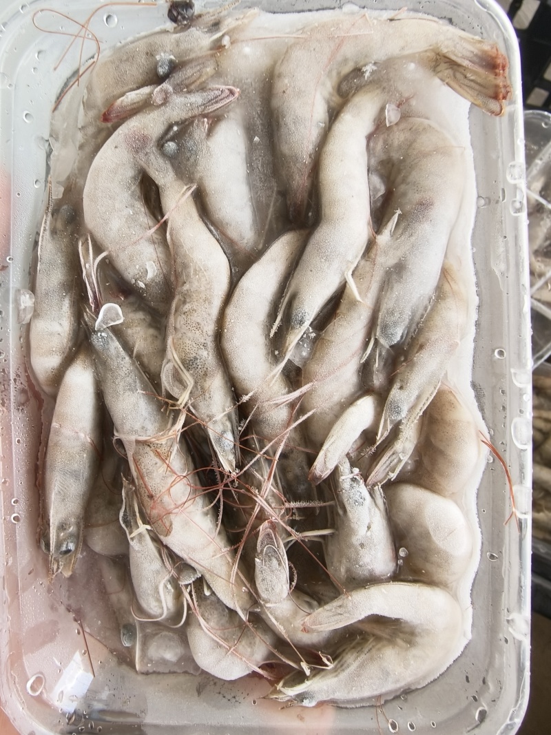 速冻南美白对虾精挑鲜活入库价格便宜常年大量有货
