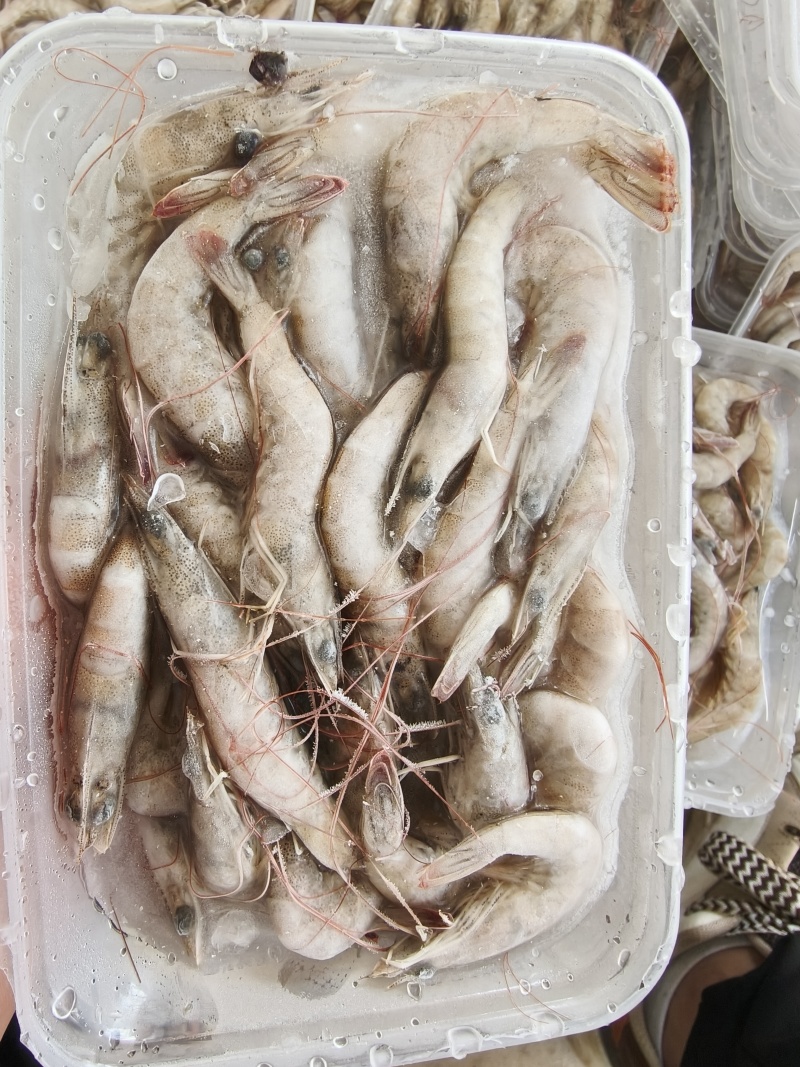 速冻南美白对虾精挑鲜活入库价格便宜常年大量有货