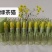 茶油面霜唇膏团购批发货源一件代发货源货源