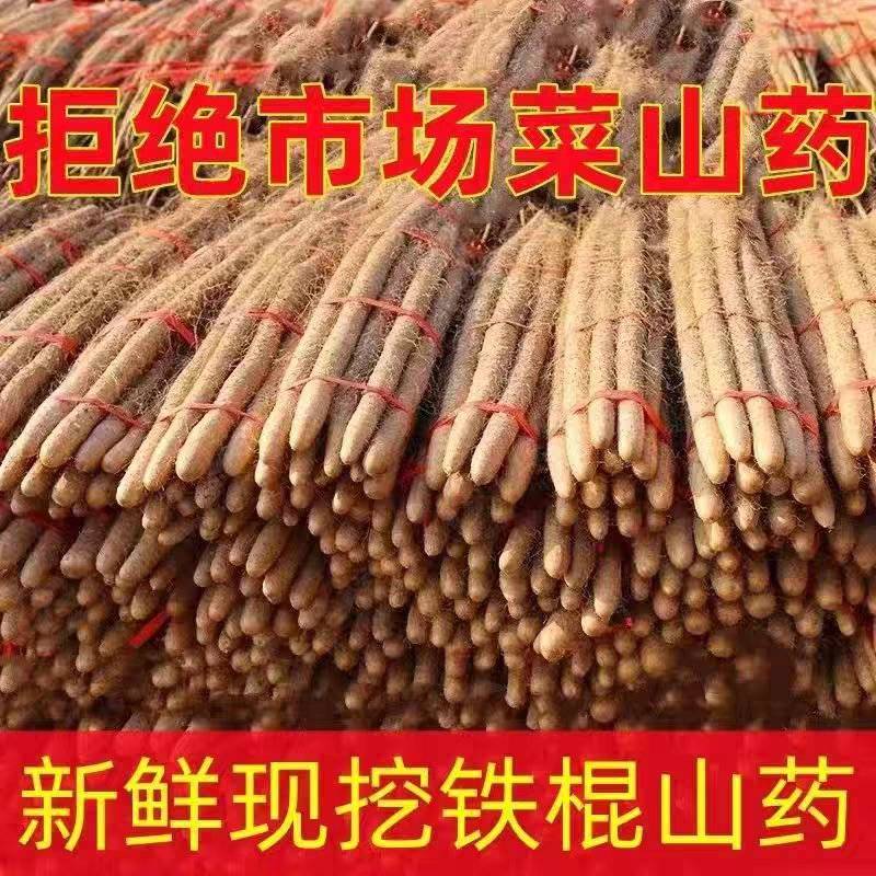 【包邮】铁棍山药正宗淮山药新鲜小白嘴铁棒山约5斤