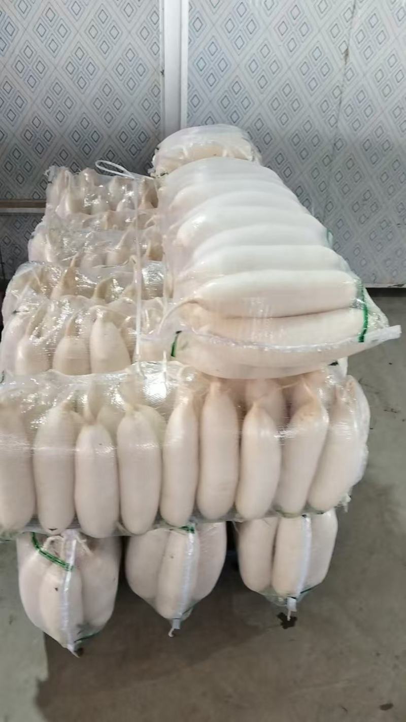 白萝卜，三排，四排都有