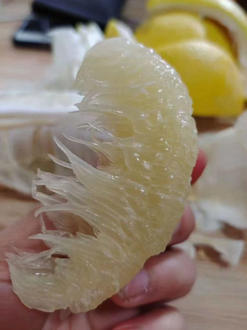 正宗江永香柚，欢迎各位老板订购
