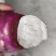 四川商薯19白心蜜薯，大量现货，对接商超，工厂，电商！