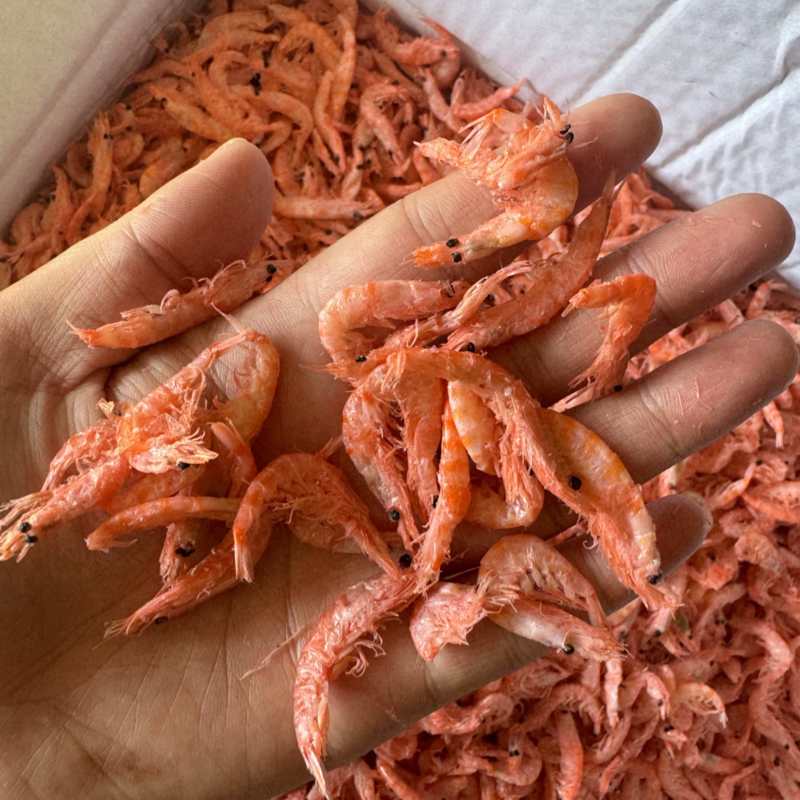 南极磷虾，磷虾，个头均匀，干度较好