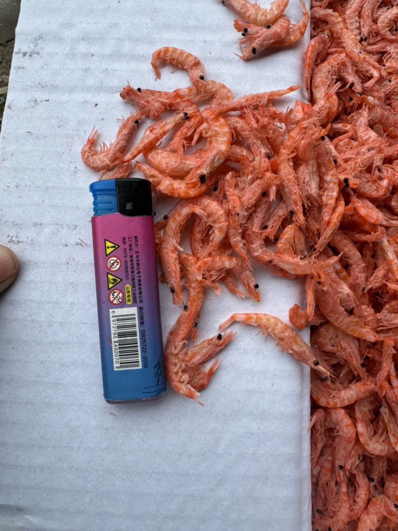南极磷虾，磷虾，个头均匀，干度较好
