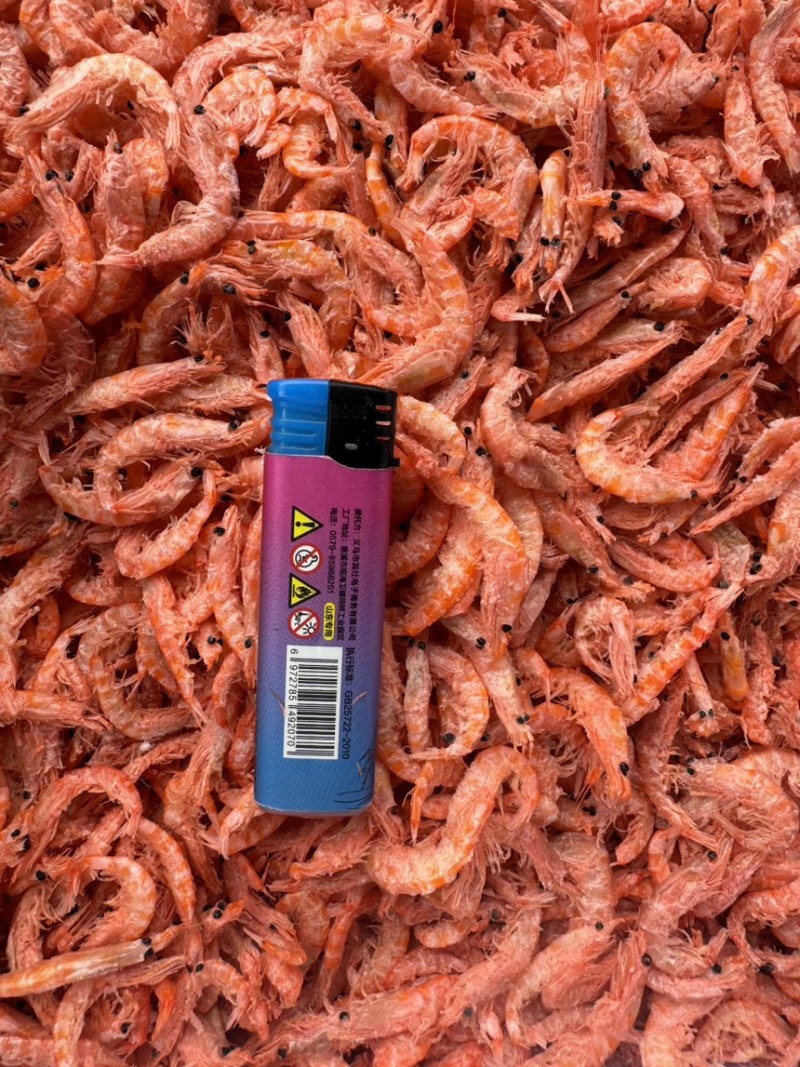 南极磷虾，磷虾，个头均匀，干度较好