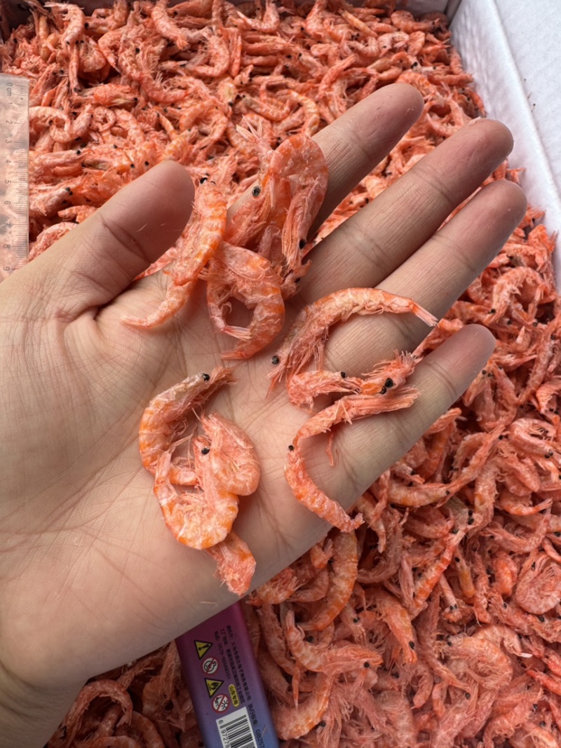 南极磷虾，磷虾，个头均匀，干度较好