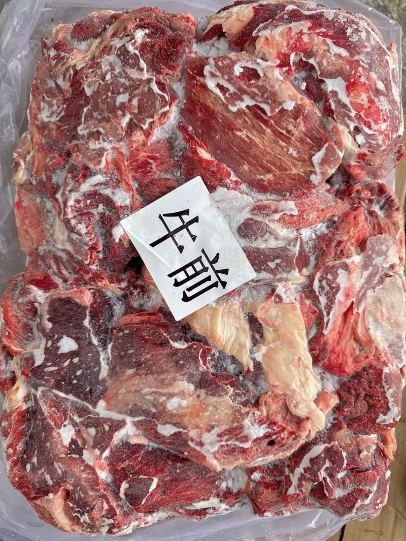 大厂县清真屠宰场95牛前！