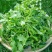 2025年野菜大叶荠菜地菜包子饺子火锅