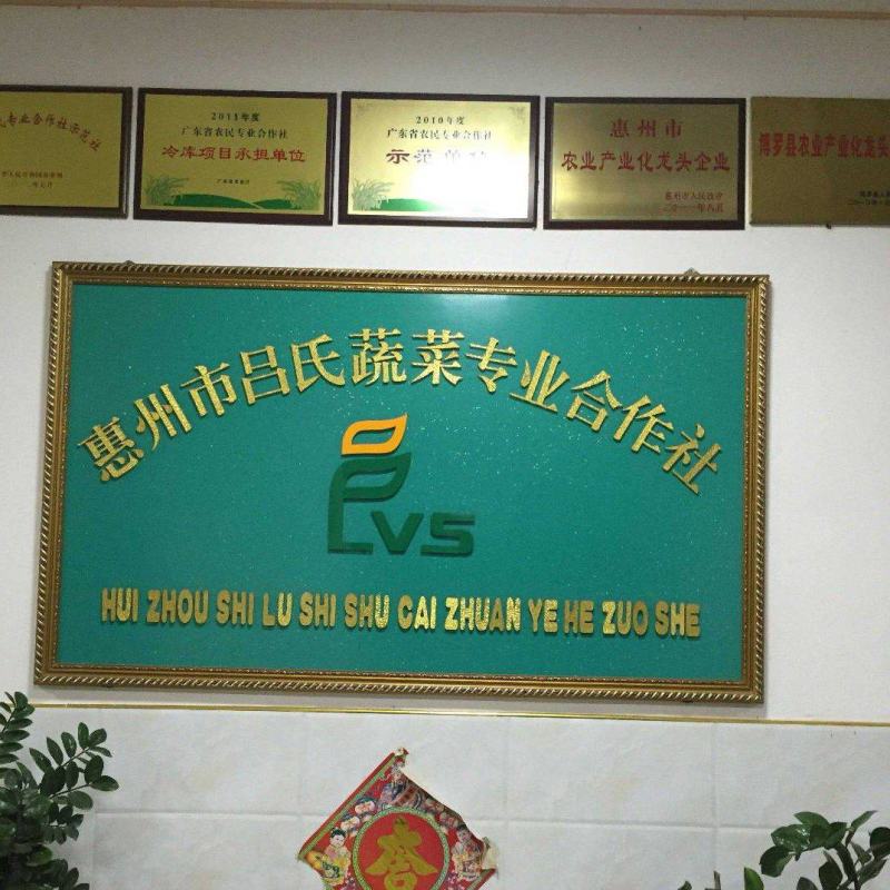 专业蔬菜生产基地，