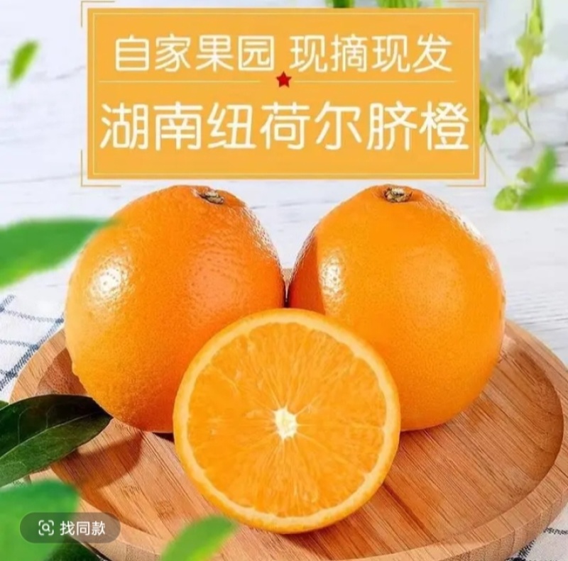 纽荷尔脐橙