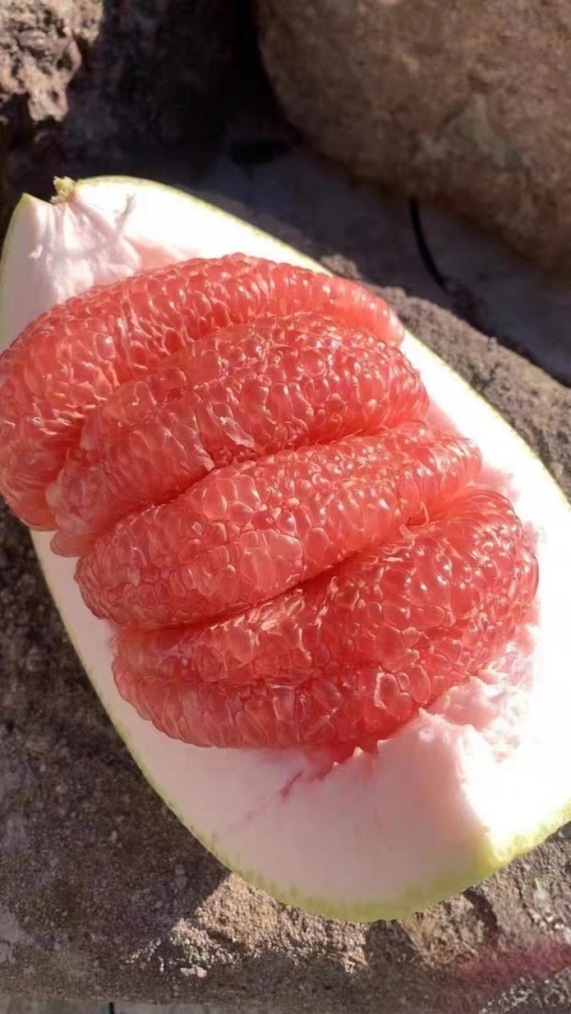 江西马家柚，孕妇高血糖可食用，糖度15.8基地直发
