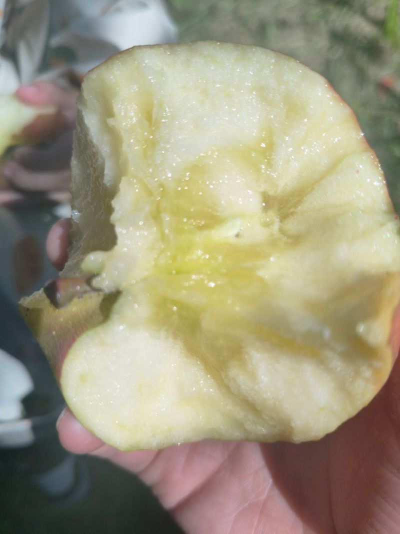 昭通糖心丑苹果
