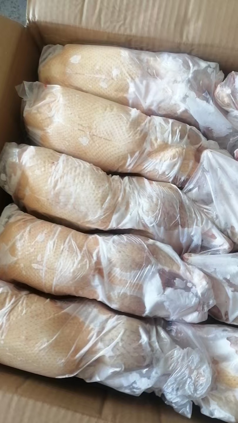 一级白条鸭1200克整车价超低工厂直发手续齐全