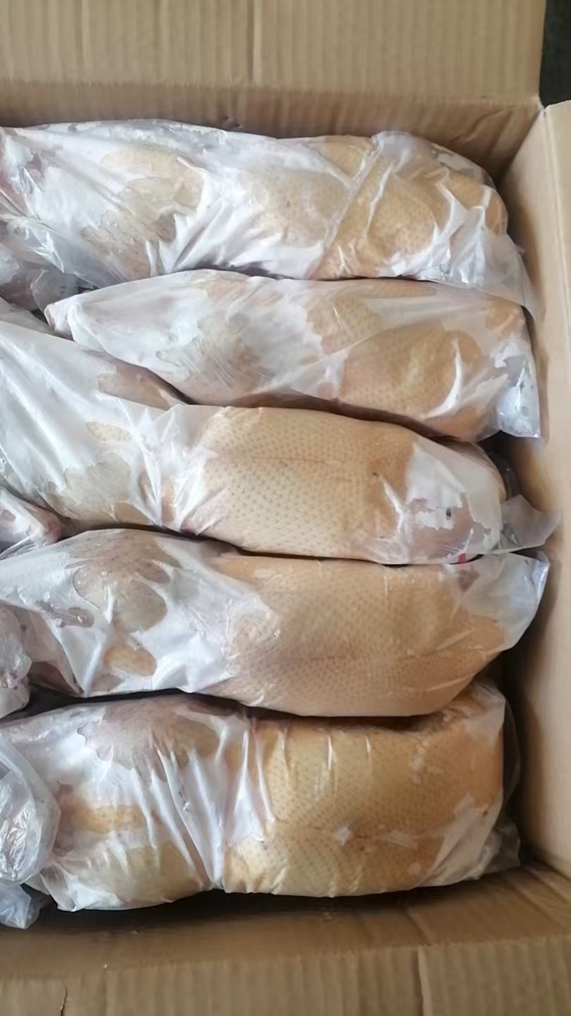 一级白条鸭1200克整车价超低工厂直发手续齐全