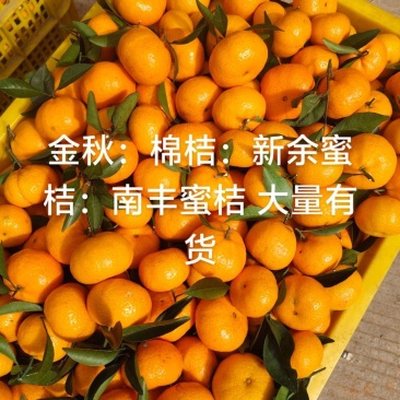 大量有货供应，全国各地市场欢迎老板对接