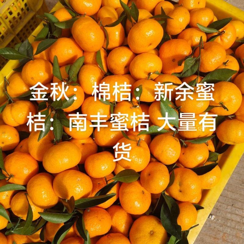 大量有货供应，全国各地市场欢迎老板对接