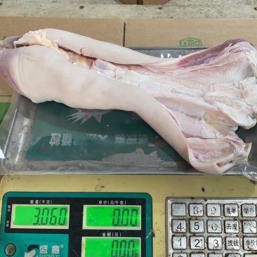 纯水退去骨牛蹄，全部大公牛牛蹄，带主筋，清水加工，出成高