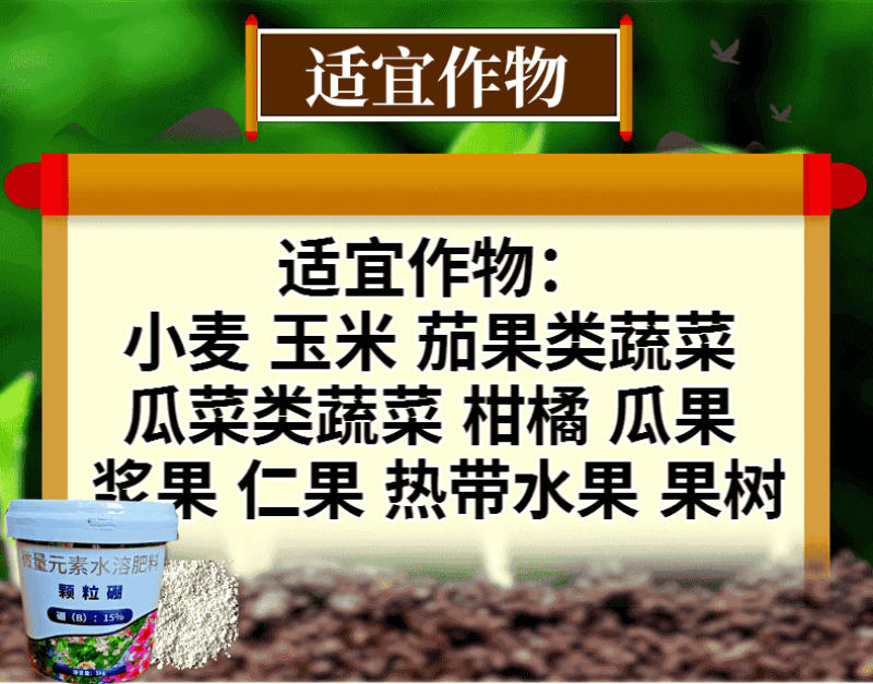 奥丰颗粒硼缓释硼肥保花保果提高开花坐果率一季用一次