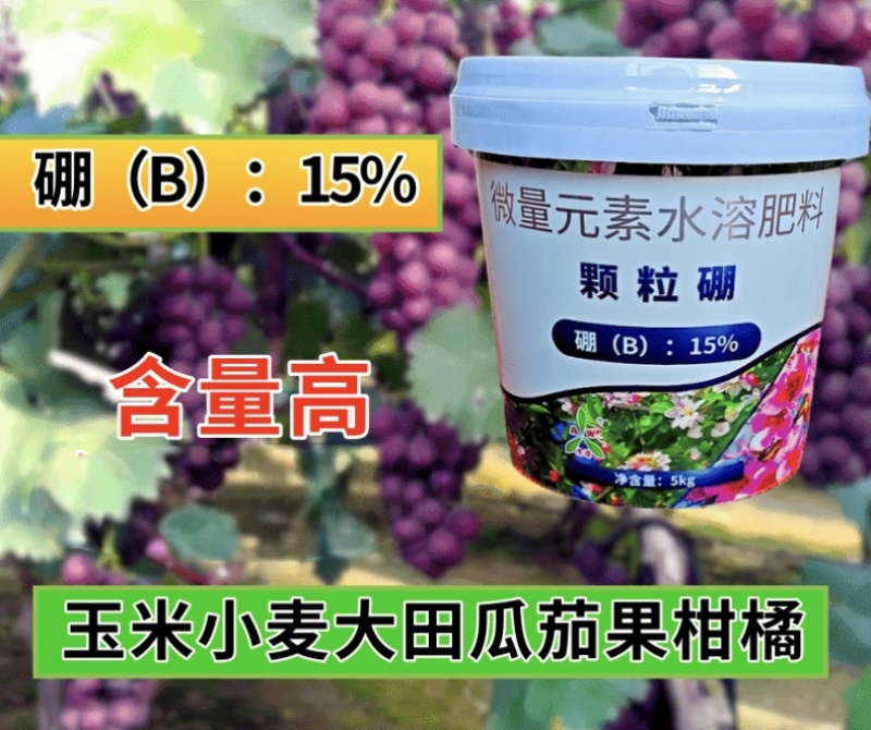 奥丰颗粒硼缓释硼肥保花保果提高开花坐果率一季用一次