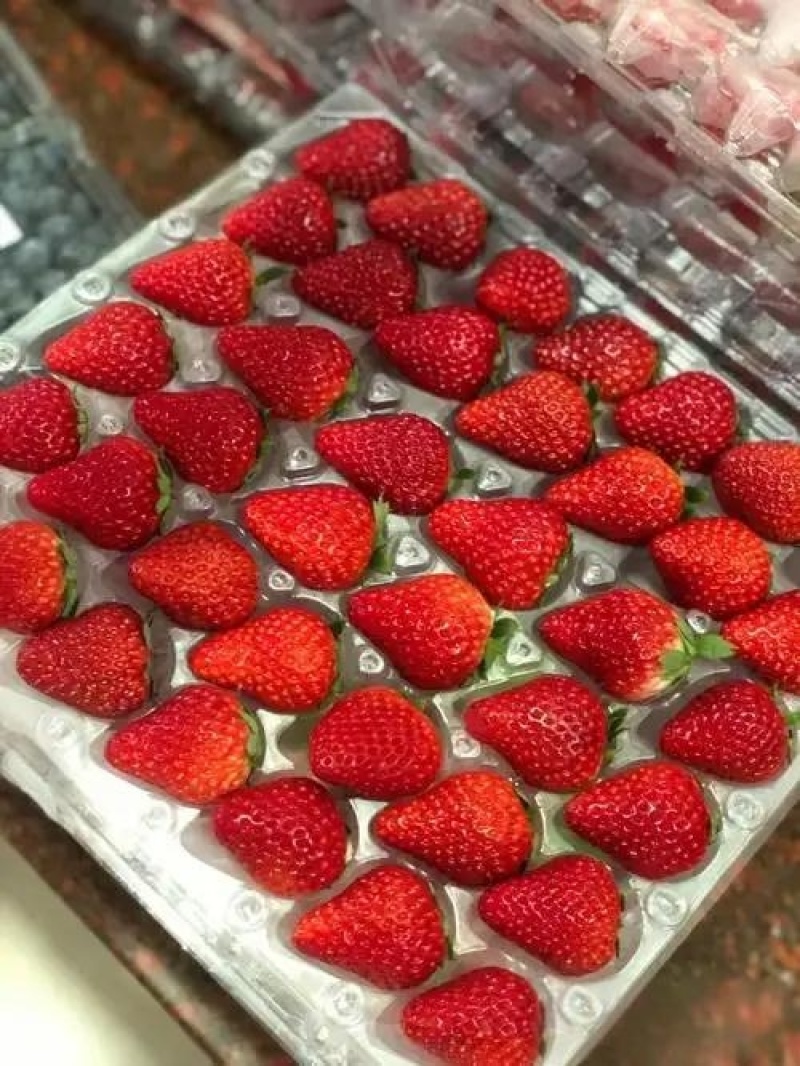 妙香草莓供应中对接市场档口商超量大从优欢迎来电咨询订购