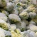 优质新梗白面小米粒松花菜