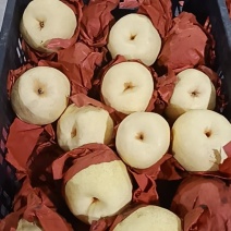 酥梨