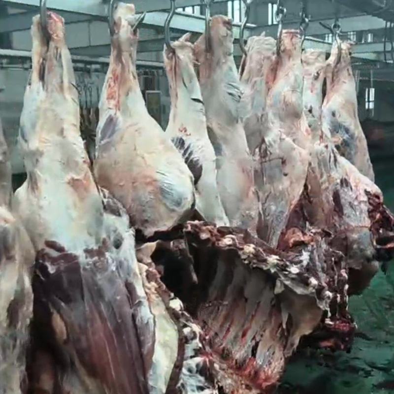 鲜牛肉