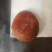 鸡宝