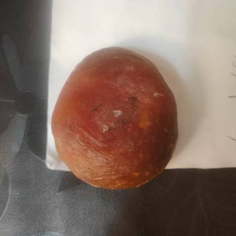 鸡宝