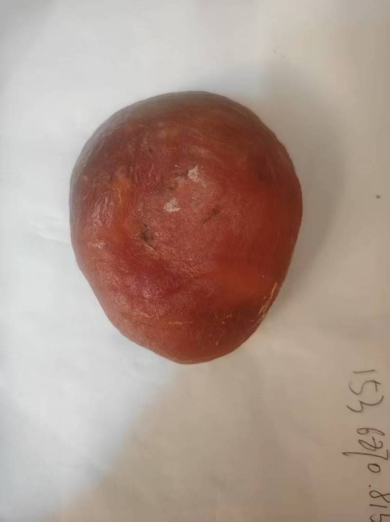 鸡宝