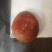 鸡宝