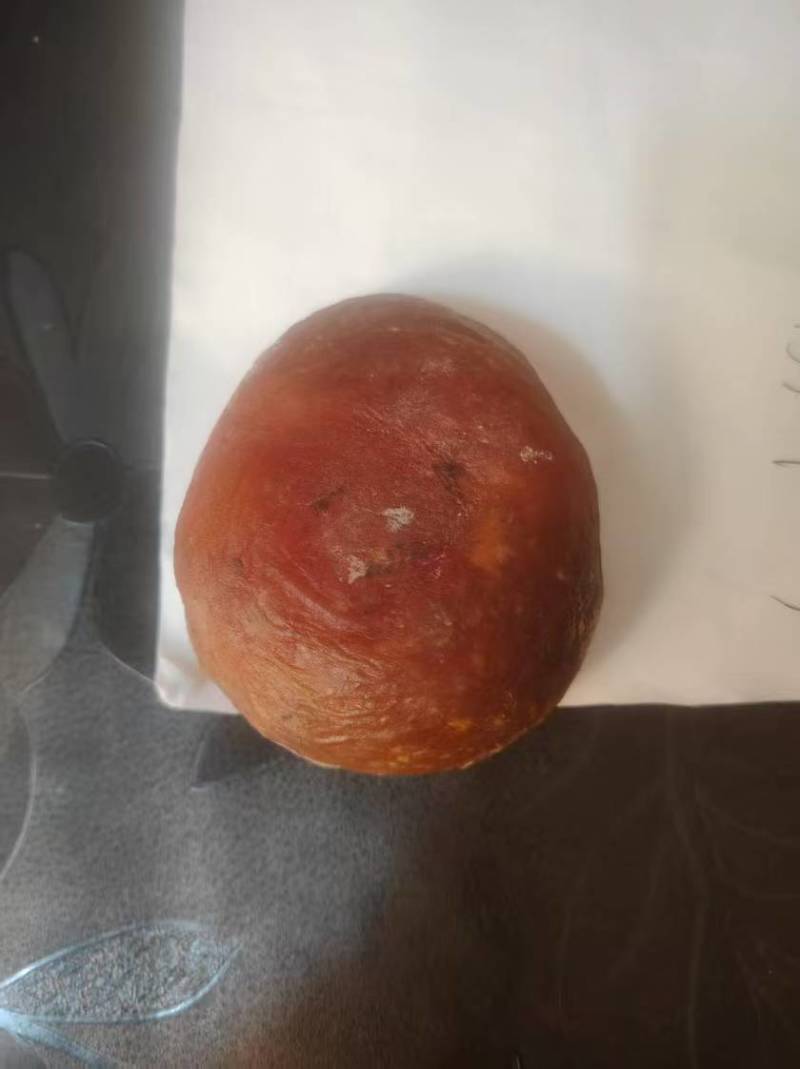 鸡宝