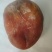 鸡宝
