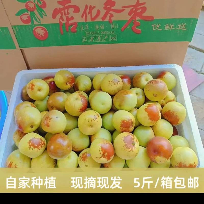 沾化冬枣