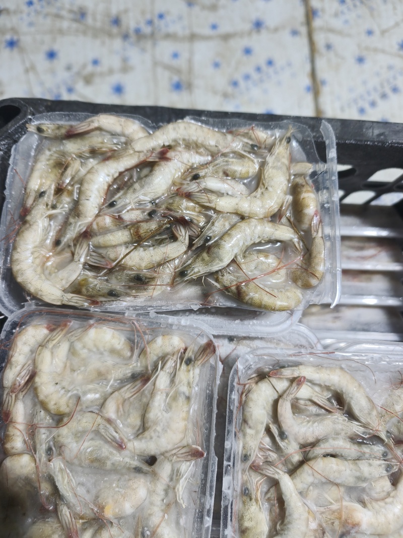 速冻南美白对虾精挑鲜活入库价格便宜常年大量有货